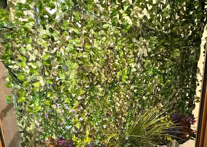 Roro Center 파트라